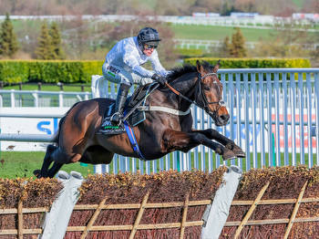 Constitution Hill pure perfection as he routs Champion Hurdle rivals