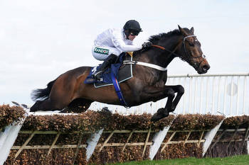 Constitution Hill puts the seal on flawless season with inevitable Aintree Hurdle win