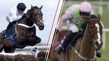 Constitution Hill rated inferior to Faugheen as 2022-23 jumps rankings revealed