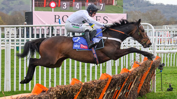 Constitution Hill ruled out of Cheltenham