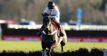 Constitution Hill set to head straight to the Champion Hurdle without another race