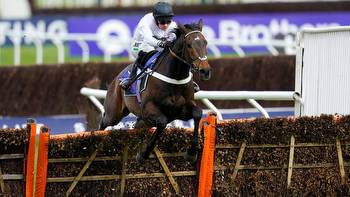 Constitution Hill to face Epatante in Fighting Fifth Hurdle at Newcastle