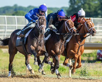 Contenders Continue Preparing For “Test of the Champion”