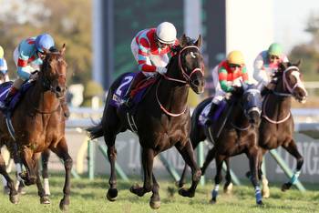 Contrail Concludes Career with Thrilling Victory in 41st Japan Cup