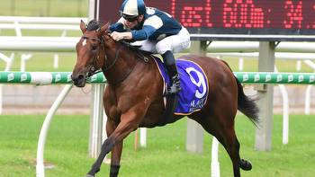 Coolangatta poised for rich payday in Golden Slipper