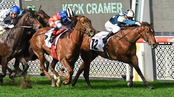 Coolangatta too strong in Moir Stakes