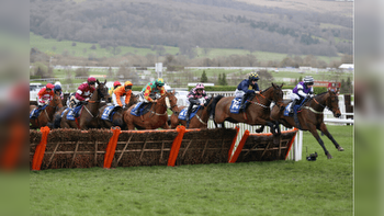 Coral Cup Trends for the 2024 Cheltenham Festival
