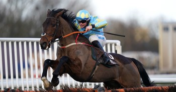 Coral Gold Cup 2023 tips, runners and prediction for Saturday at Newbury
