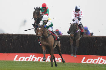 Coral Gold Cup Ante Post Tips: A Long Term Pick for Newbury Showpiece