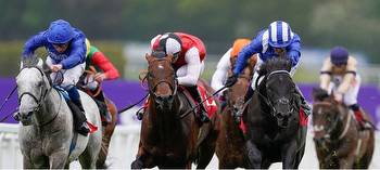 Coral Stewards Cup Betting Odds, Declared Runners, Tips, Result
