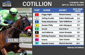 Cotillion fair odds: Ceiling Crusher’s pace advantage is key