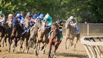 Cotillion Stakes Predictions, Expert Picks, Odds (Parx Racing)
