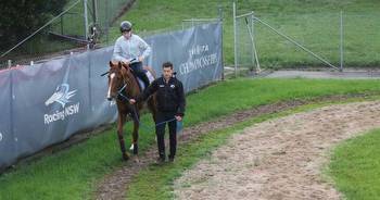 'Could be the best I've trained': Ciaron Maher's big rap for Golden Eagle favourite Light Infantry