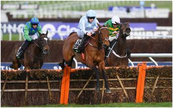 Could Honeysuckle avoid Constitution Hill Champion Hurdle clash?