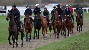 Could top stables' domination damage National Hunt racing?