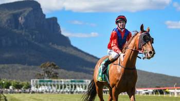 Country race meets cancelled on Melbourne Cup Day as soggy weather impacts tracks