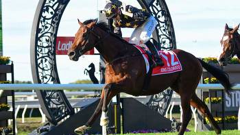 Cox Plate dream for fairytale Group 1 star King Colorado