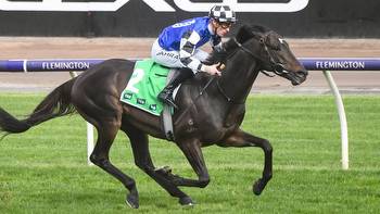 Cox Plate horses, tips: Two-minute form guide