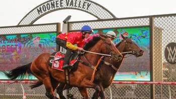 Cox Plate, Manikato Stakes tips for Moonee Valley Saturday