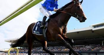 Cox Plate 'no gimme' for Anamoe: Cummings