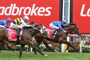 Cox Plate winner Anamoe short odds in the Champions Stakes
