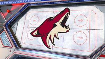 Coyotes aiming to take step forward in franchise rebuild