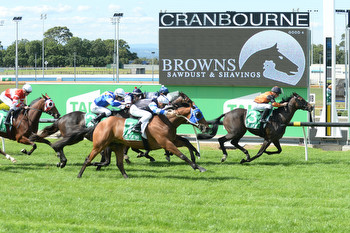 Cranbourne Cup Day at Cranbourne Tips, Race Previews and Selections