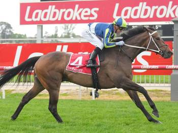 Cranbourne Cup: Weather and track condition crucial for punters