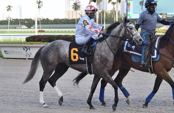 Crazy Beautiful, Con Lima among 7 set for Gulfstream Park Oaks