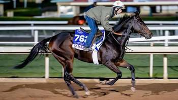 Creating Value Using Tamara in Breeders’ Cup Juvenile Fillies Bets