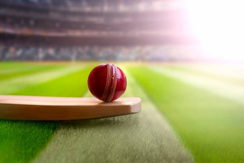 Cricket betting sites in India: the rating of the most reliable bookmakers