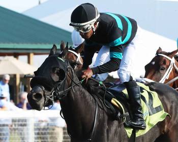 Crown Imperial, Vote No Capture Last 2 Stakes at KY Downs