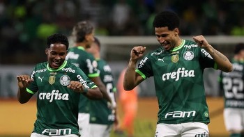 Cruzeiro vs Palmeiras Prediction, Betting, Tips, and Odds