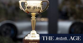 Cup field shows racing can tackle horse welfare