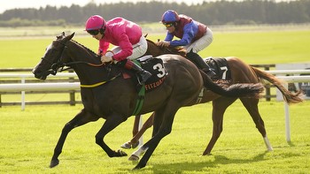 Curragh wrap: Layfayette back in business