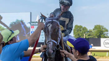 Cyberknife picked as early favorite for $3 million Pegasus