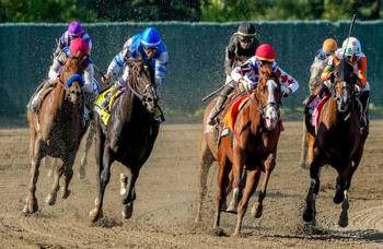 Cyberknife slices along the rail to upset Haskell Stakes