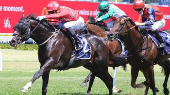 Cythera and Ebhaar to show their class in Silver Slipper