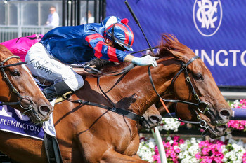 Dabernig Pics up Melbourne Cup Carnival Country Final win
