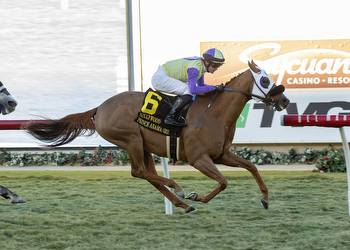 D’Amato brings it on the turf with Irish-breds