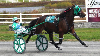 Dame ties record, Gingras grand slams in Massachusetts Sire Stakes
