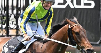 Damien Oliver steers Kalapour into Melbourne Cup field