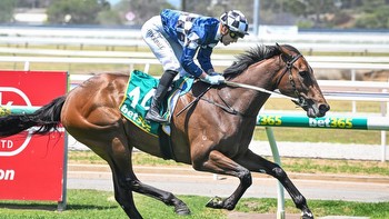 Damien Oliver's last Thousand Guineas ride hanging by a thread