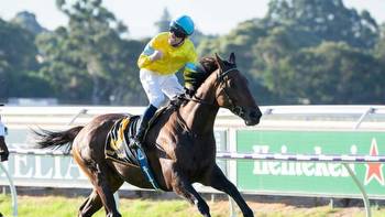 Daniel Morton eyes Northerly Stakes after Group 1 near miss