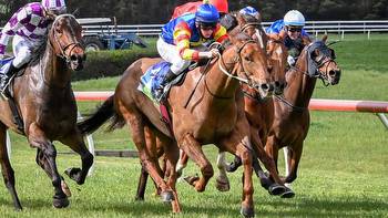 Danielle Loos trained Lovano the best bet of Saturday’s Penshurst Cup Day races