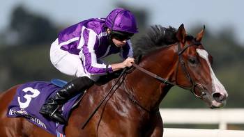 Dante Stakes: Aidan O'Brien dominates possibles for Derby trial at York with four-strong squad