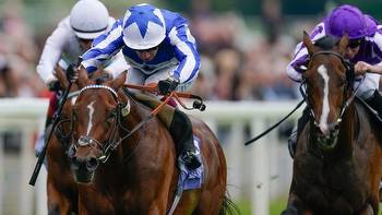 Dante Stakes reflections after The Foxes wins Derby Trial at York