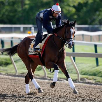 Danzig Moon Euthanized After Breaking Leg in Queen's Plate Trial Race