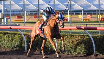 Darwin Cup tips and best bets for Monday
