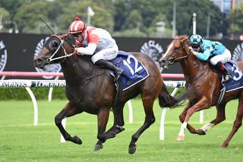 Dashing Legend heads early odds in the Darby Munro Stakes